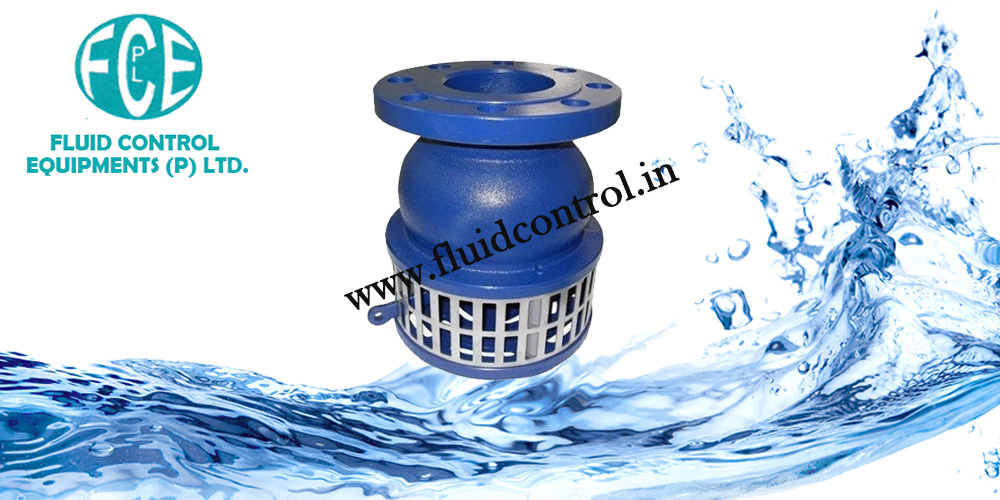 Foot Valve Manufacturer